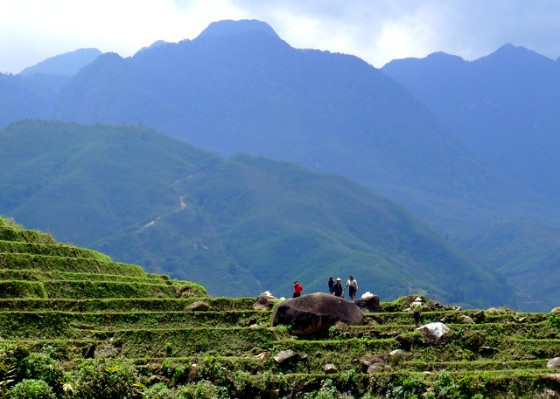 Villagers preparing the rice paddies for rainy-season planting