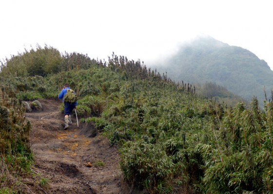 Misty Mt. Fansipan in the distance and within reach... less than an hour to go!  And yes, my guide is talking on his cell phone.