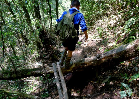 Fancy footwork: I learned some good climbing technique observing my H'Mong guide traverse the challenging trail