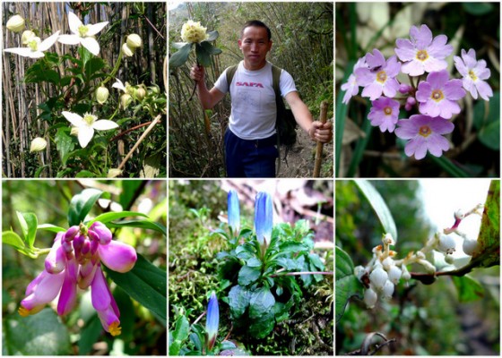 Mountain Bloom: Despite the end of the dry season in Vietnam, color was ever present on the way to Mt. Fansipan