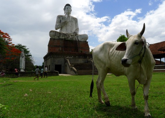 Tin called this the "Unhappy Buddha" because the temple cannot be finished and sits slowly deteriorating