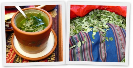 Coca tea, coca leaves... the perfect cure for altitude sickness!