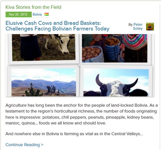 Kiva Fellows Blog 4: Challenges Facing Bolivian Farmers Today