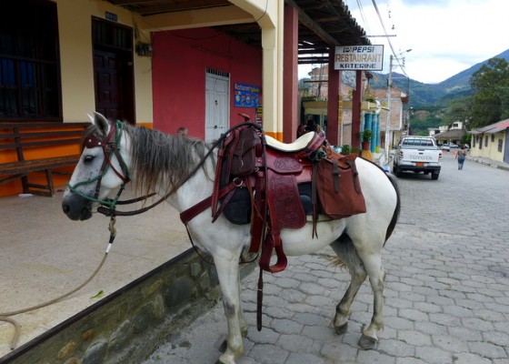 Vilcabamba is in many ways a one-horse town