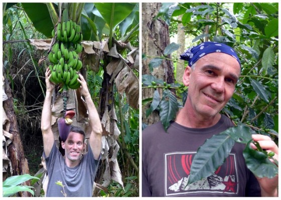 Peter going bananas and Paul crazy for coffee beans