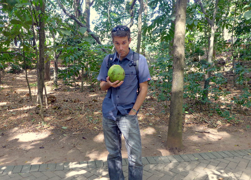 Crazy for coconut in Goiânia's Bosque dos Buritis park