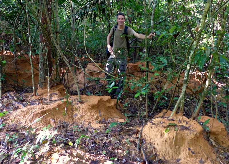 The barro (mud) piles that an Amazonian bee uses to make adobe for hives. I could not believe how extensive these “construction sites” are – everything in the Amazon seems larger-than-life.