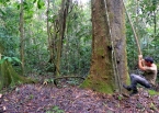 Some fun along the trail: playing Tarzan among the Amazon’s forest giants.