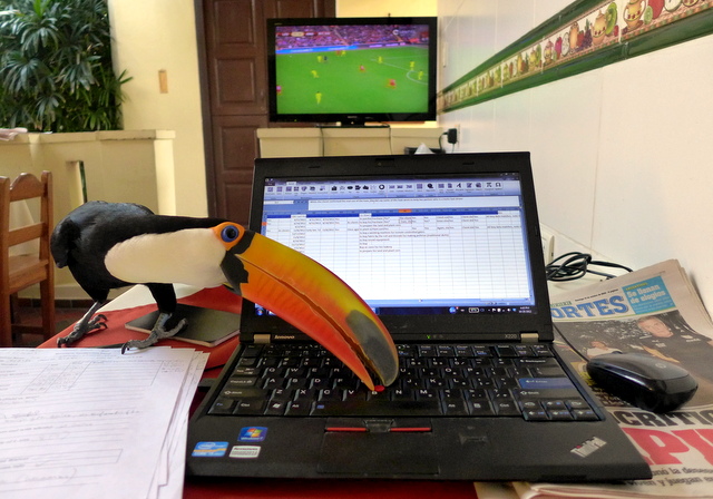 I spent a lot of time at my computer entering Kiva borrower and loan information.  This tucan in a hostel in Santa Cruz did not make my task any easier as he spent his time trying to eat the red button on my laptop. (He was also distracting me from the Real Madrid-Dortmund soccer match).