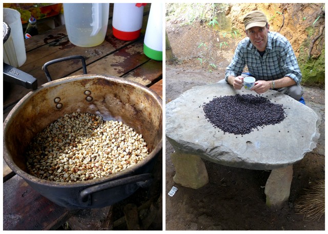 Local coffee beans before and after the roasting
