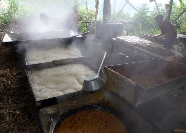 The guarapo is boiled through a series of large kettles so the water evaporates and the sugar thickens