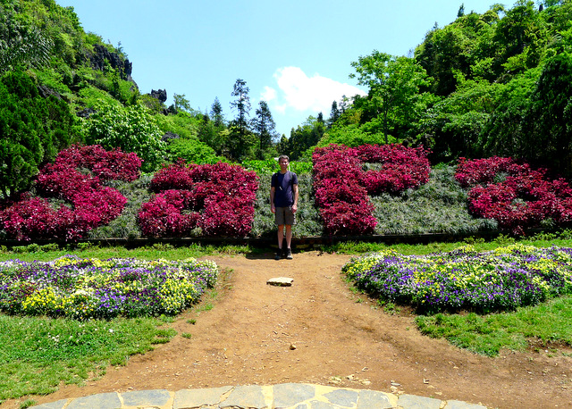 One of the surprising flower arrangements in Dragon Jaw Mountain park, just steps from downtown Sapa