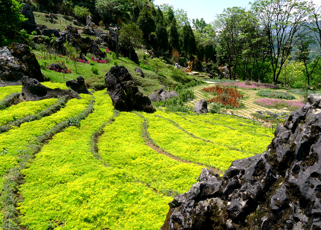 Flower garden made to look like terraced rice paddies