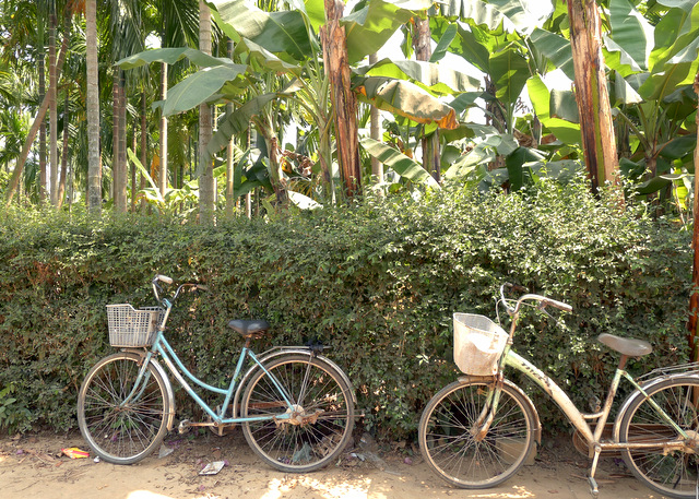 Idle bicycles in a village across the Thu Bon River from the Hoi An peninsula